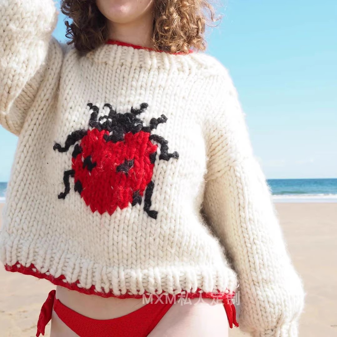 Star Ladybug Pattern Pure Wool - огляд і ціна Embroidery Lady Bug